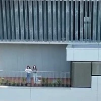 画像296