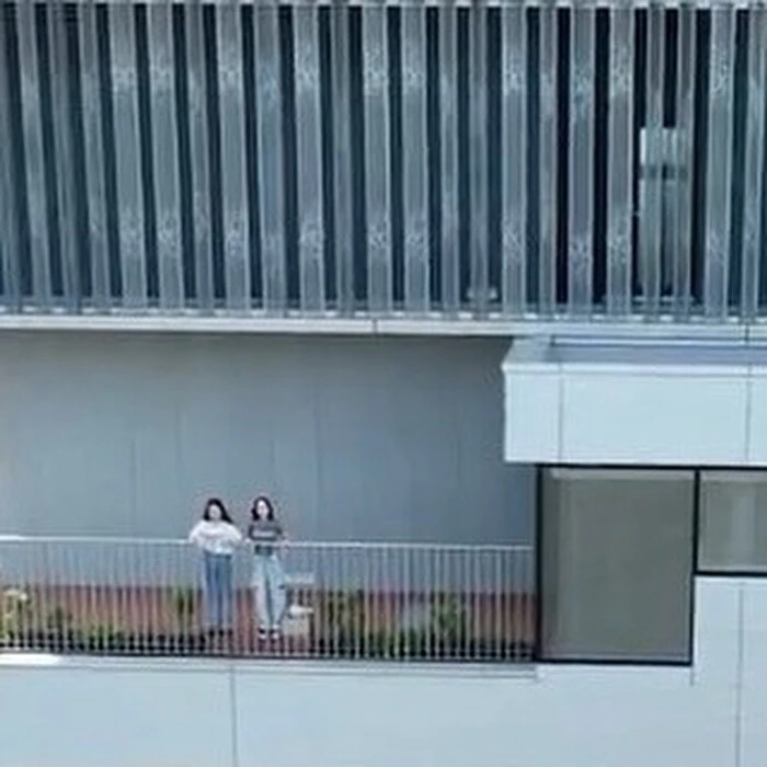 画像296