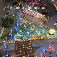 画像335