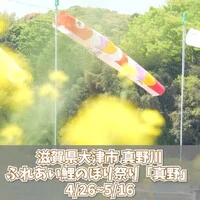 画像344