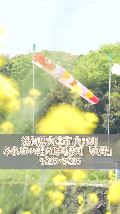 画像344