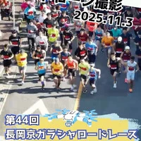 画像349